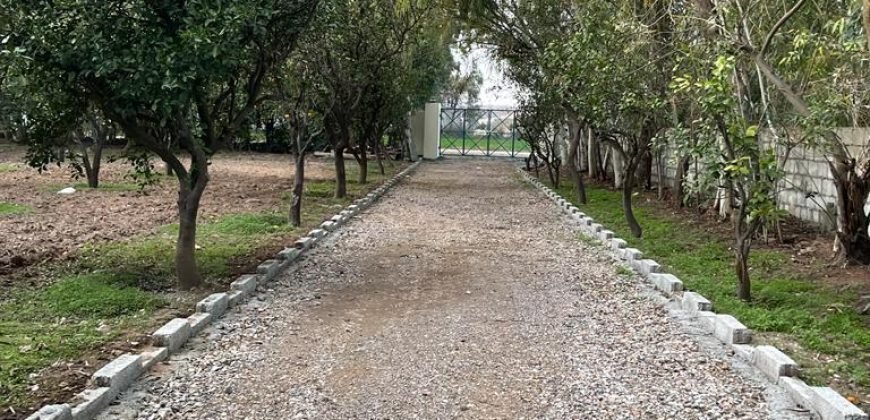 JAPAN ROAD  FARMHOUSE 141