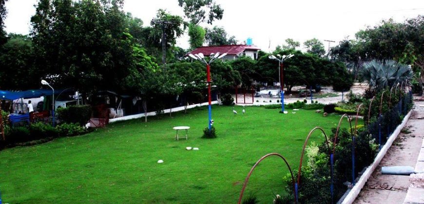 SWIMMING POOL ALI PUR 126