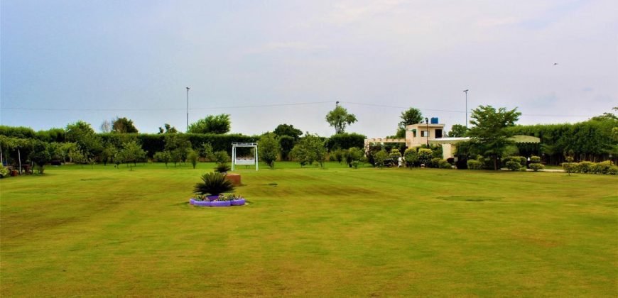 BEDIAN ROAD FARMHOUSE  248