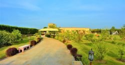 BEDIAN ROAD FARMHOUSE  248