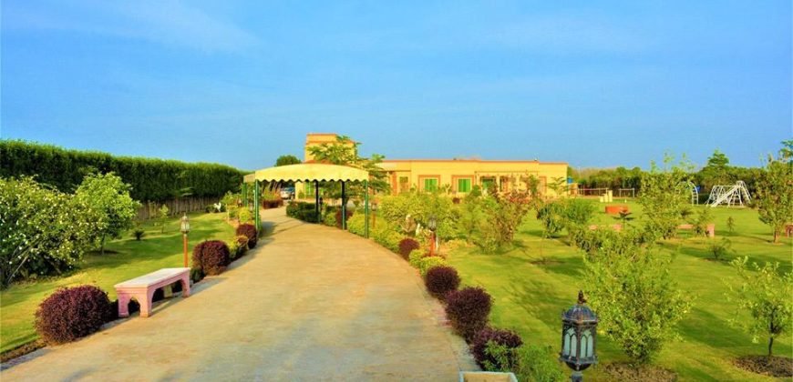 BEDIAN ROAD FARMHOUSE  248