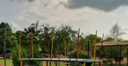 BEDIAN ROAD FARMHOUSE 123