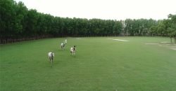 FAISALABAD FARMHOUSE 185