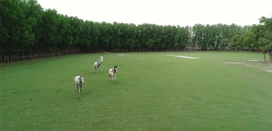 FAISALABAD FARMHOUSE 185