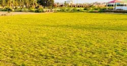 BARKI ROAD FARM HOUSE 252