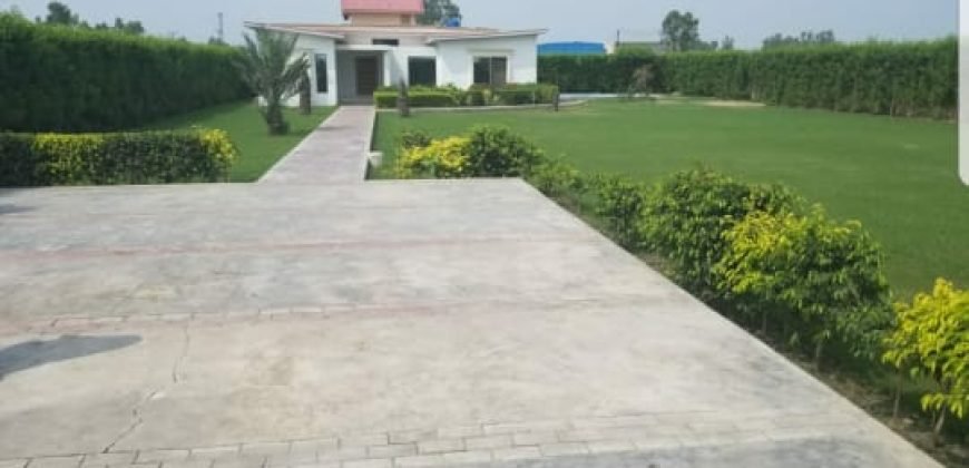 BARKI ROAD SWIMMING POOL 13