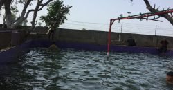 SHAHDARA SWIMMING POOL 77