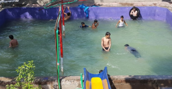SHAHDARA SWIMMING POOL 77