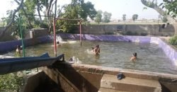 SHAHDARA SWIMMING POOL 77