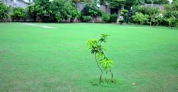 BEDIAN ROAD FARMHOUSE 150