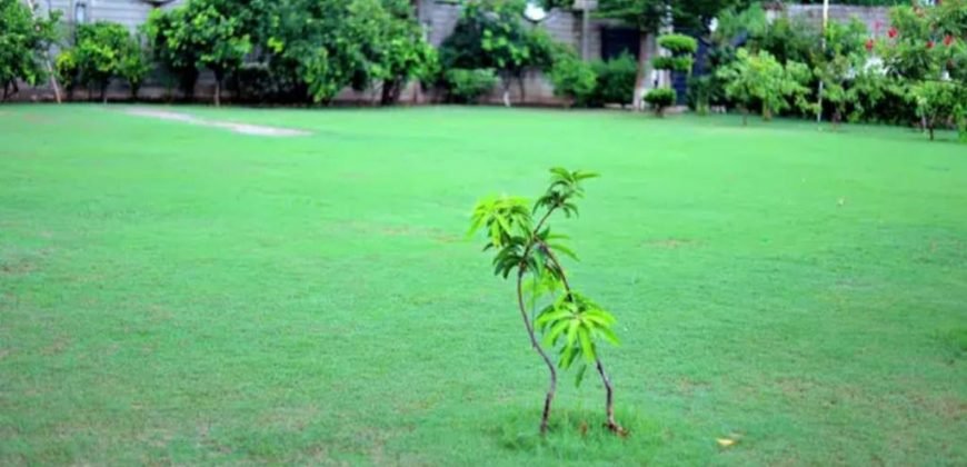 BEDIAN ROAD FARMHOUSE 150