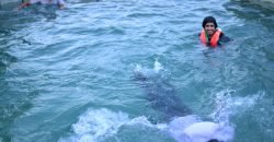 BEDIAN ROAD FARMHOUSE 150