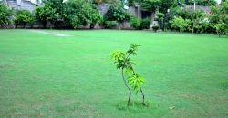 SWIMMING POOL BADIAN ROAD 56