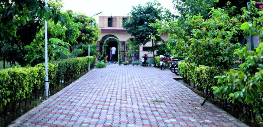 SWIMMING POOL BADIAN ROAD 56