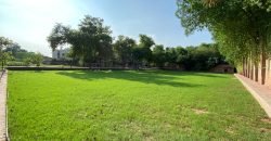 VALENCIA ROAD FARMHOUSE  116