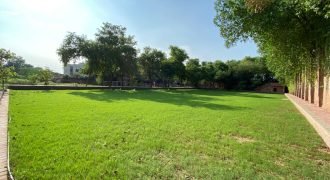 VALENCIA ROAD FARMHOUSE  116