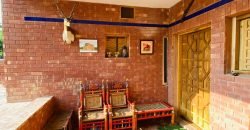 SWIMMING POOL VALENCIA 159