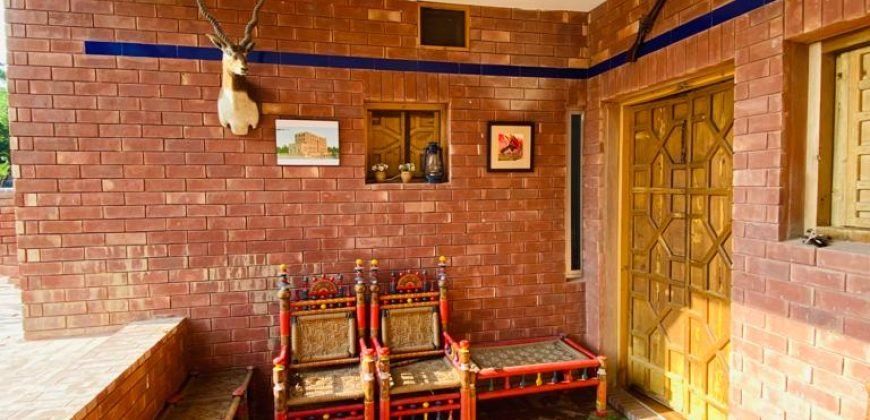 SWIMMING POOL VALENCIA 159