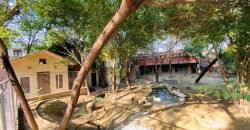 SWIMMING POOL VALENCIA 159