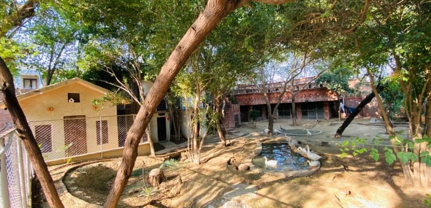 SWIMMING POOL VALENCIA 159