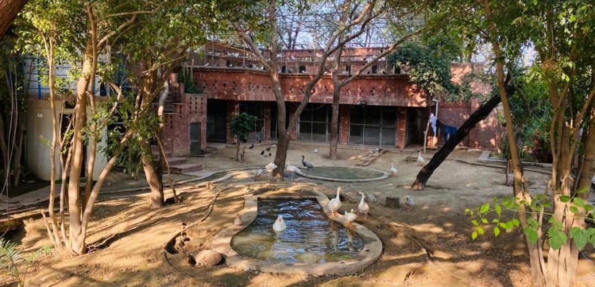 VALENCIA ROAD FARMHOUSE  116