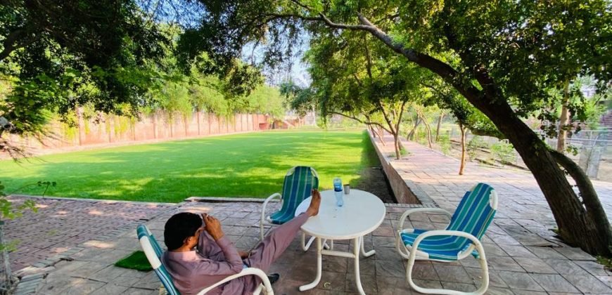 SWIMMING POOL VALENCIA 159