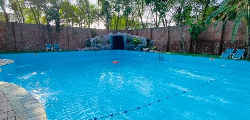 SWIMMING POOL VALENCIA 159