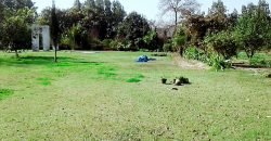 BEDIAN ROAD  FARMHOUSE 114