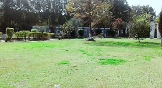 BEDIAN ROAD  FARMHOUSE 114