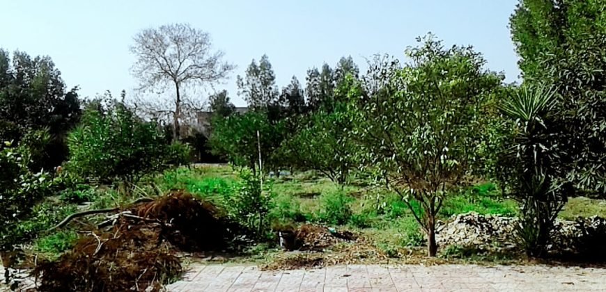 BEDIAN ROAD  FARMHOUSE 114