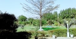 BEDIAN ROAD  FARMHOUSE 114