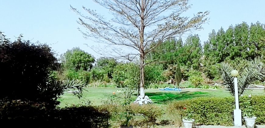 BEDIAN ROAD  FARMHOUSE 114