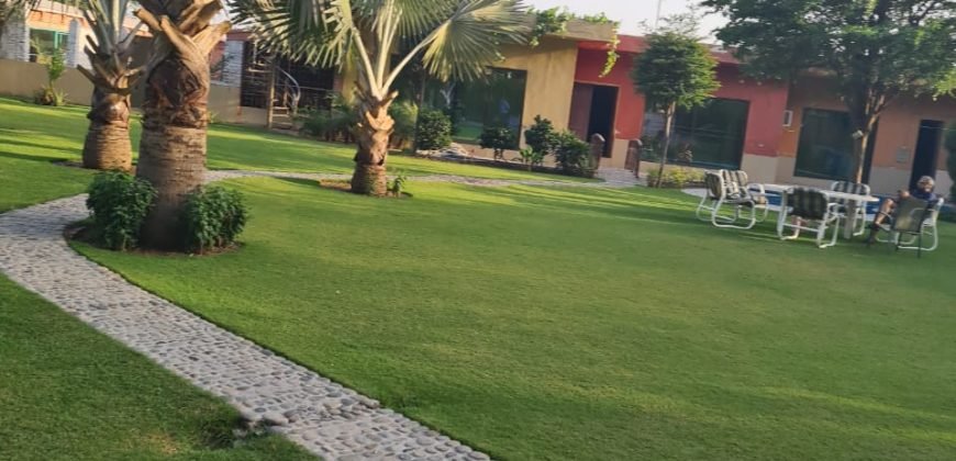 RAIWIND ROAD SWIMMING POOL 12