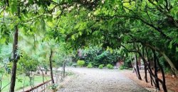 RAIWIND ROAD FARMHOUSE 156