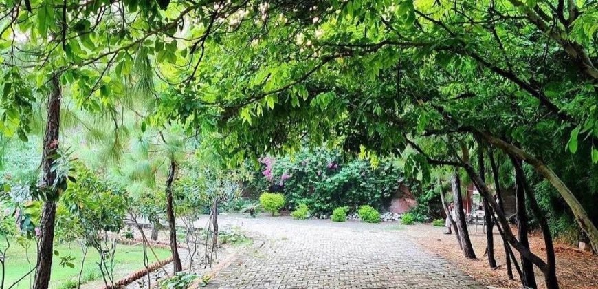 RAIWIND ROAD FARMHOUSE 156