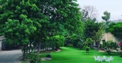 BEDIAN ROAD FARMHOUSE 163