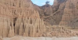 TALAGANG HWY FARMHOUSE  229