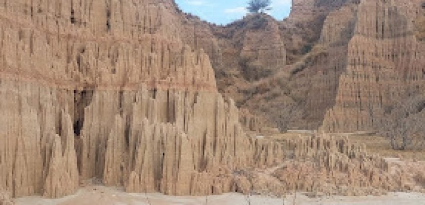 TALAGANG HWY FARMHOUSE  229