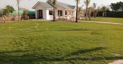 BARKI ROAD FARMHOUSE 263