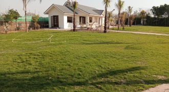 BARKI ROAD FARMHOUSE 263