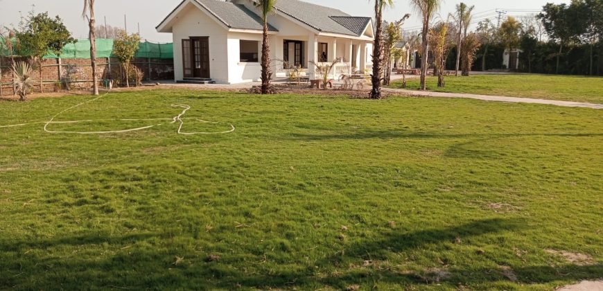 BARKI ROAD FARMHOUSE 263