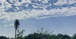 BARKI ROAD FARMHOUSE 263