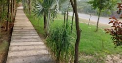 BARKI ROAD FARMHOUSE 263