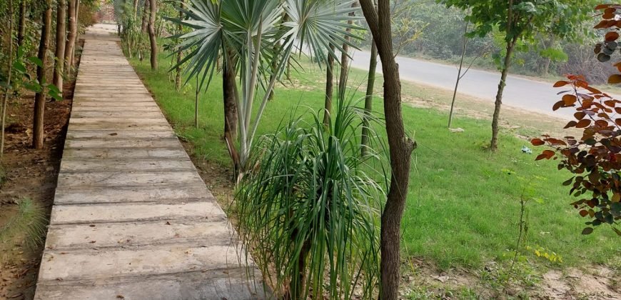 BARKI ROAD FARMHOUSE 263