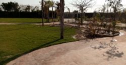 BARKI ROAD FARMHOUSE 263