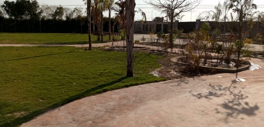 BARKI ROAD FARMHOUSE 263