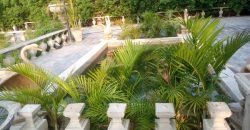 RAIWIND ROAD FARMHOUSE 235