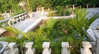 RAIWIND ROAD FARMHOUSE 235