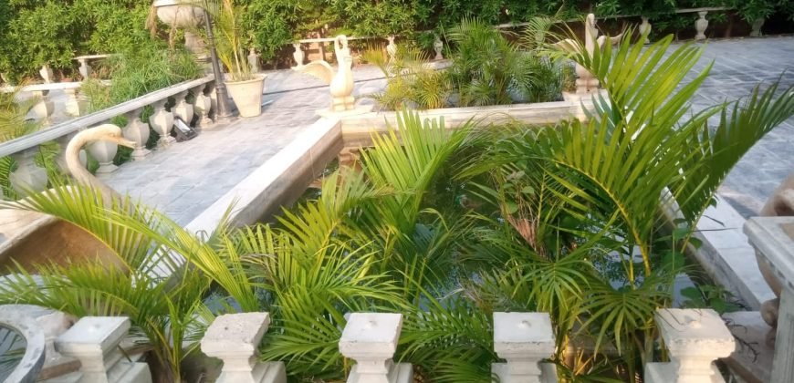 RAIWIND ROAD FARMHOUSE 235