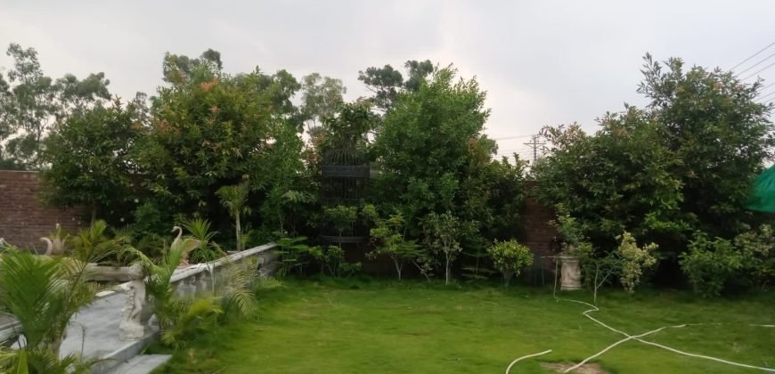 RAIWIND ROAD FARMHOUSE 235